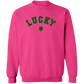Lucky Varsity Sweatshirt