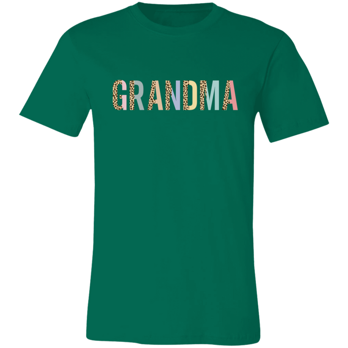 Grandma Leopard and Pastel Color Block T-Shirt