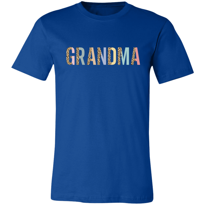 Grandma Leopard and Pastel Color Block T-Shirt