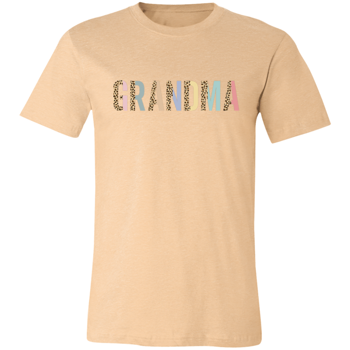 Grandma Leopard and Pastel Color Block T-Shirt