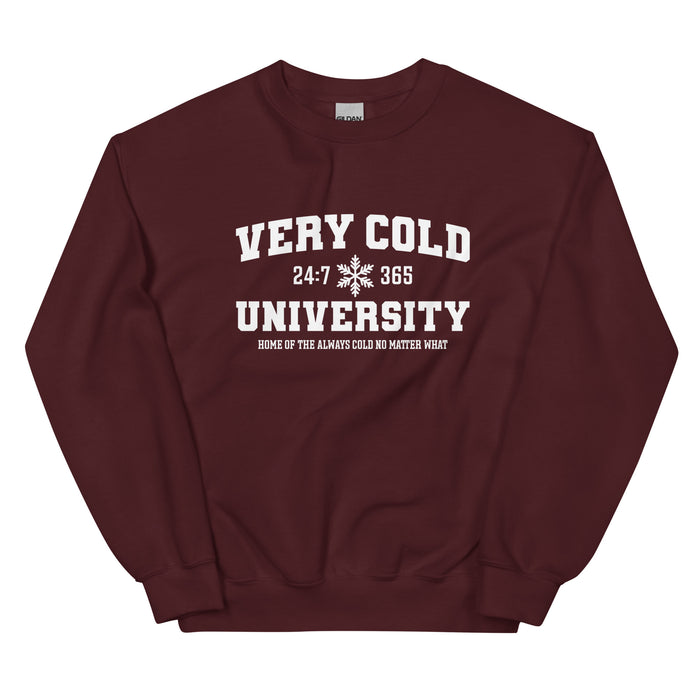 Very Cold University Sweatshirt