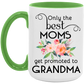 Only the Best Moms Get Promoted to Grandma Mug